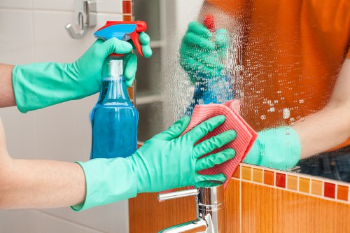 Professional carpet cleaning in a bright living room