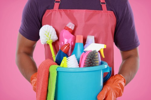 Pet stain odour removal cleaning supplies and a fresh carpet