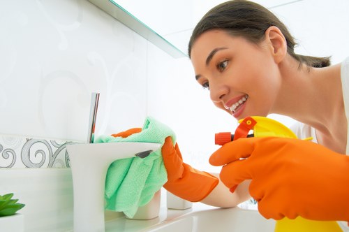 Mattress cleaning supplies arranged for stain removal