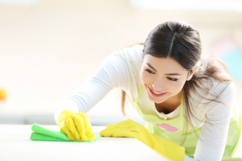 Professional pet stain odour removal treatment on carpet