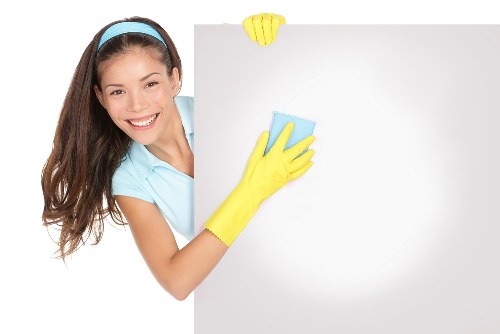 Cleaning pet stains from carpet and upholstery in a home