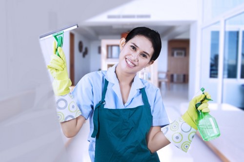 Professional Enfield carpet cleaners removing dirt and stains from carpet fibers