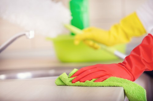 Routine carpet cleaning for a busy home with pets